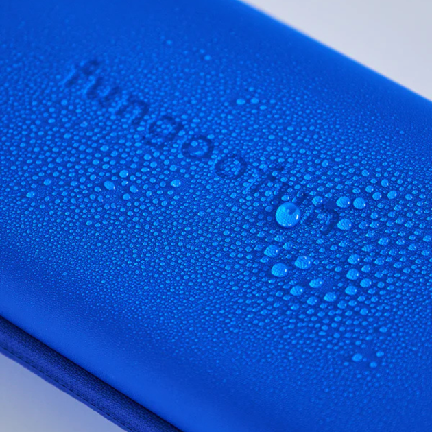 fgf f519 switch case