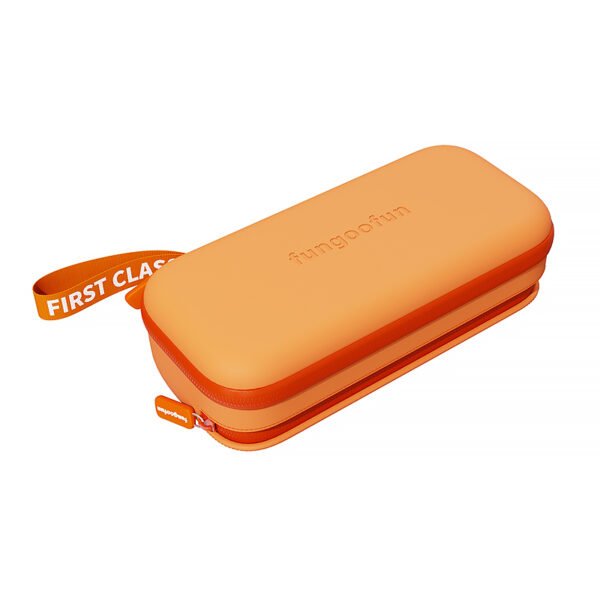 fgf f519 switch case