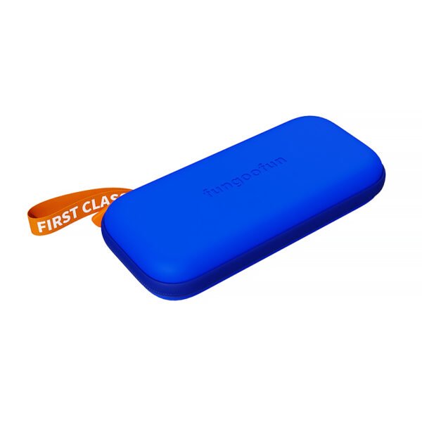 fgf f519 switch case
