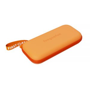 fgf f519 switch case